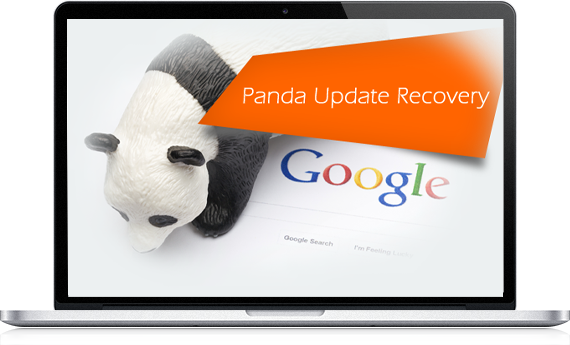Google Panda Recovery Services